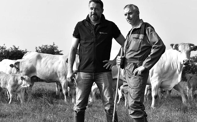 two men with cows behind