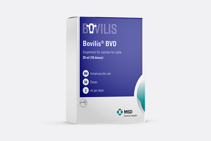 Bovilis BVD packaging shoot