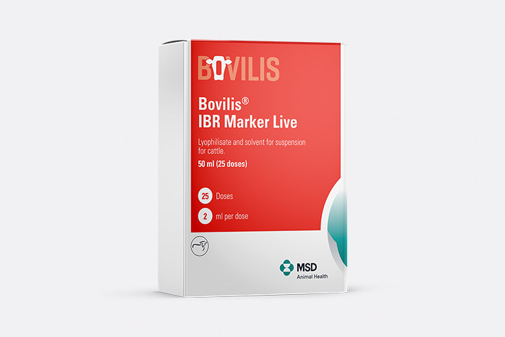 Bovilis IBR Marker Live product packaging shoot