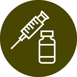 Illustration of white bottle and syringe icon in brown color circle 