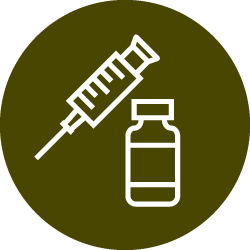 Illustration of white bottle and syringe icon in brown color circle 